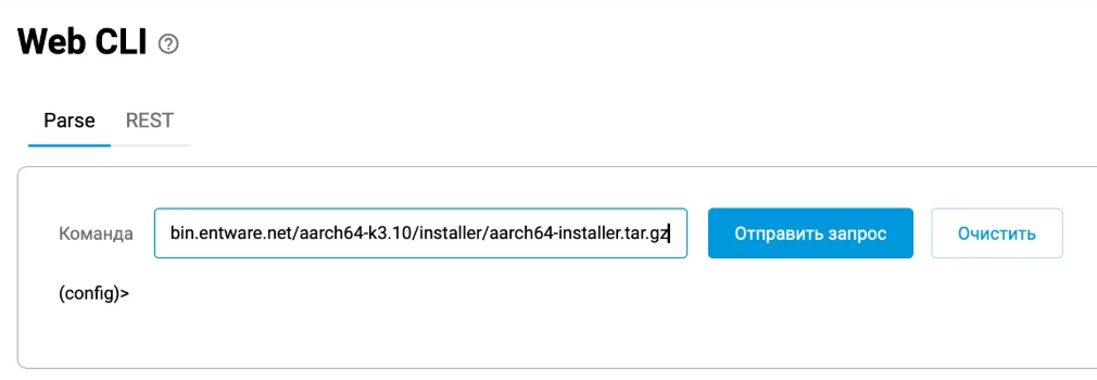 The Web CLI page: a command field and a send button (shown in Russian)